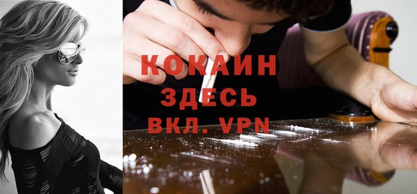 соль ск Козловка